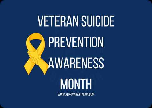 Alpha VI Chronicles: Veteran Suicide Prevention – A Call to Action