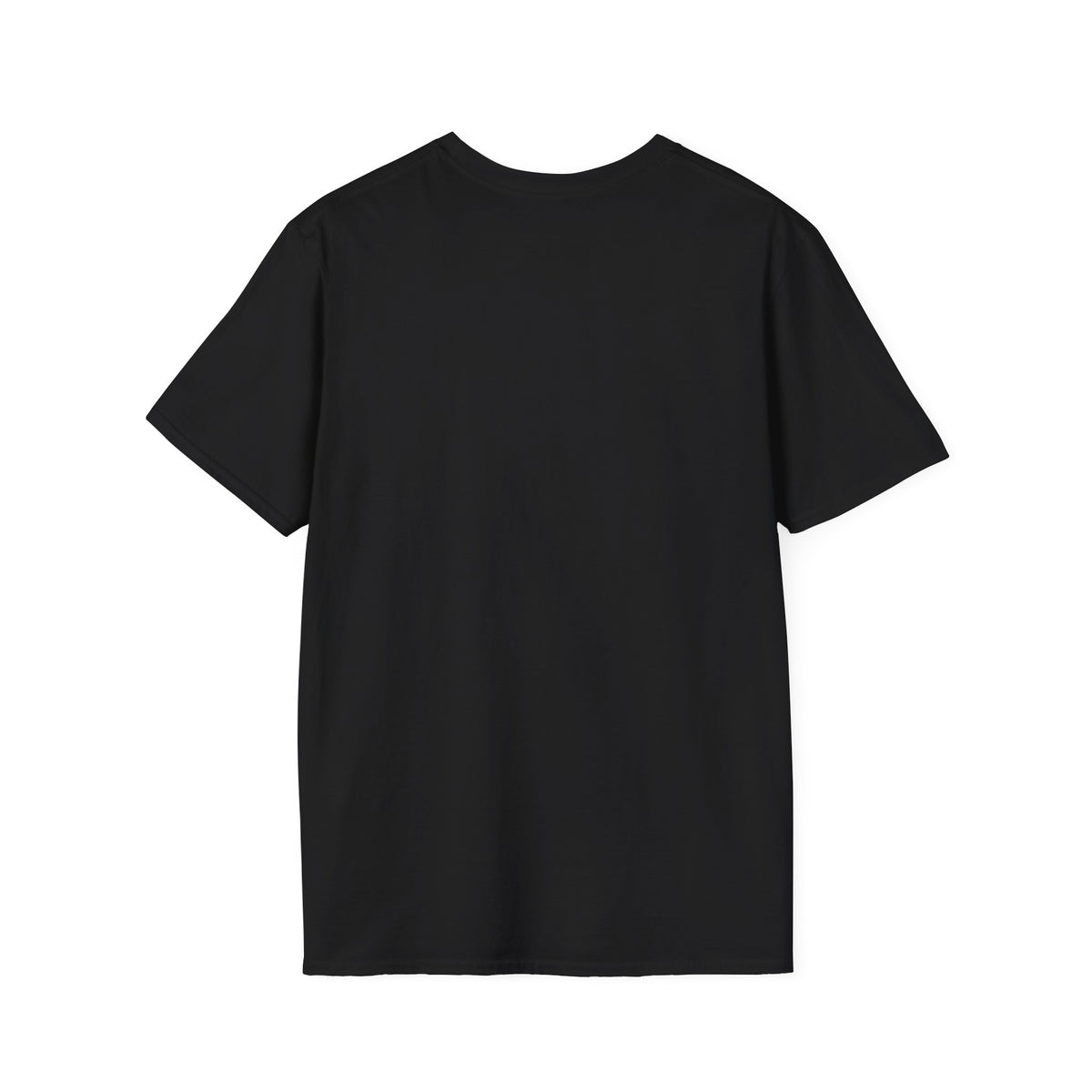 They Not Like Us Women Veterans Tee