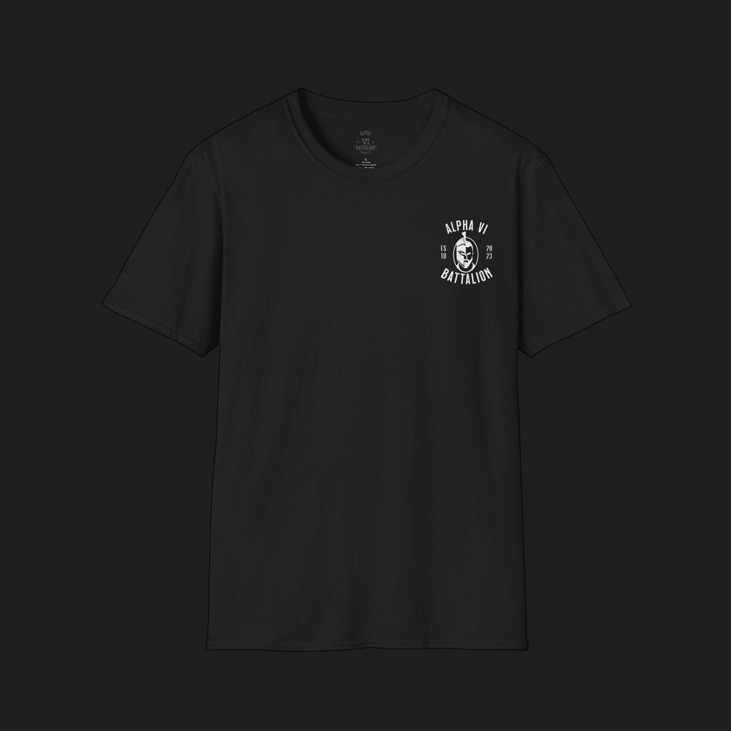 Air Force Branch Tribute Tee — USAF Veteran Pride T-Shirt