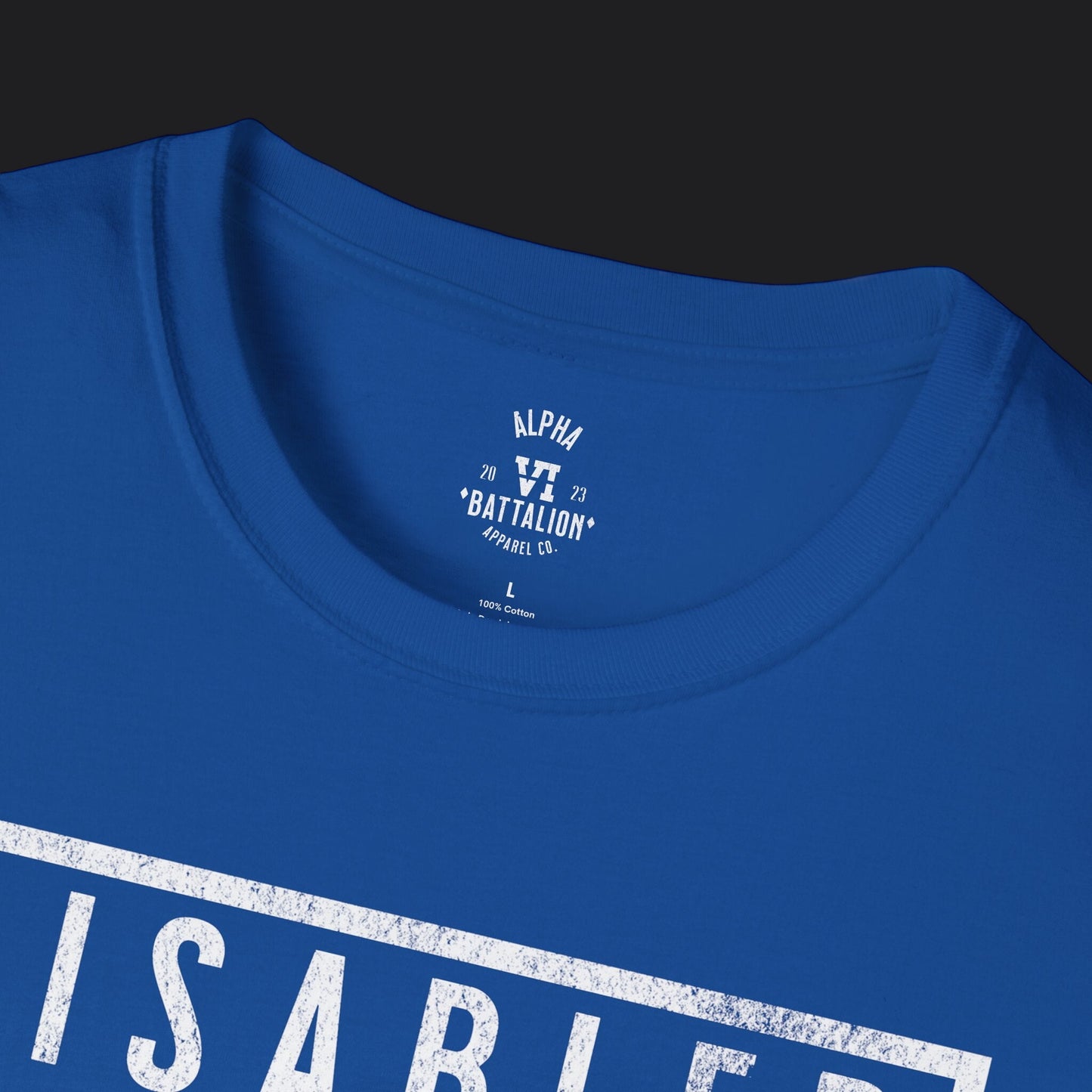 Disabled Vet Tee — Veteran Pride Disability Humor T-Shirt