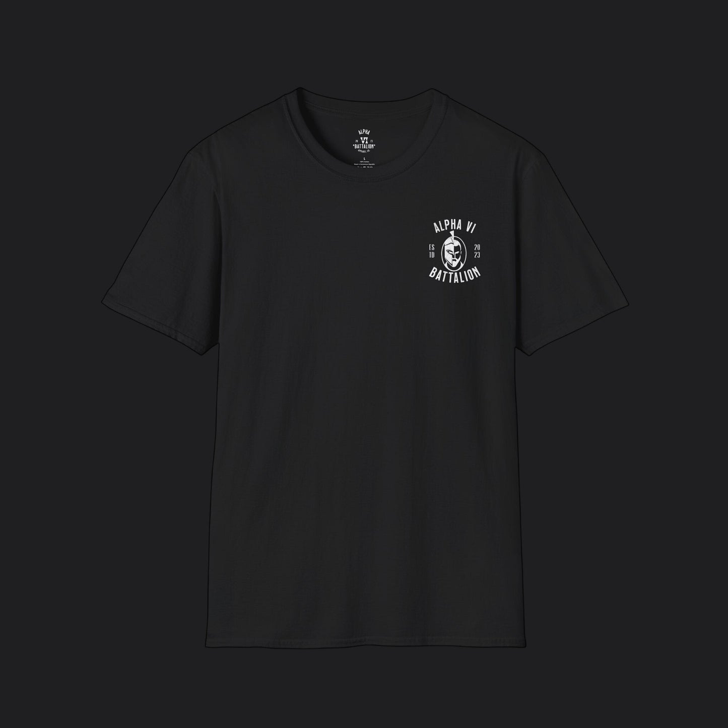 Above All Sky Guardians Freedom's Wings Tee — USAF Veteran T-Shirt