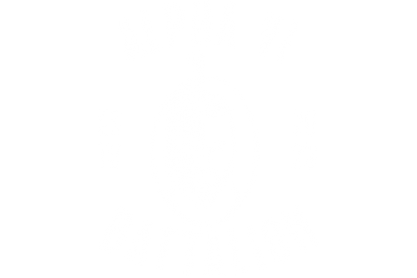 Alpha VI Battalion